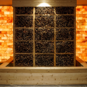 wellness_04